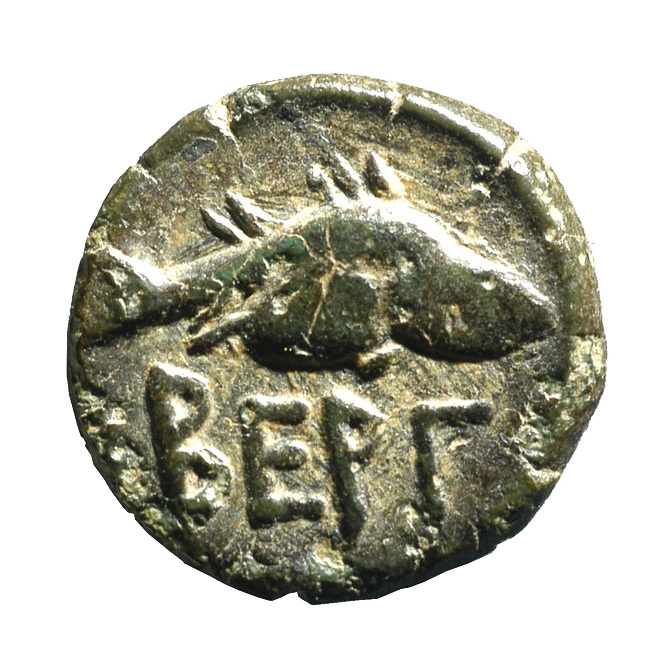 реверс CN Type cn.bergaeus_thrace.1_ed.5