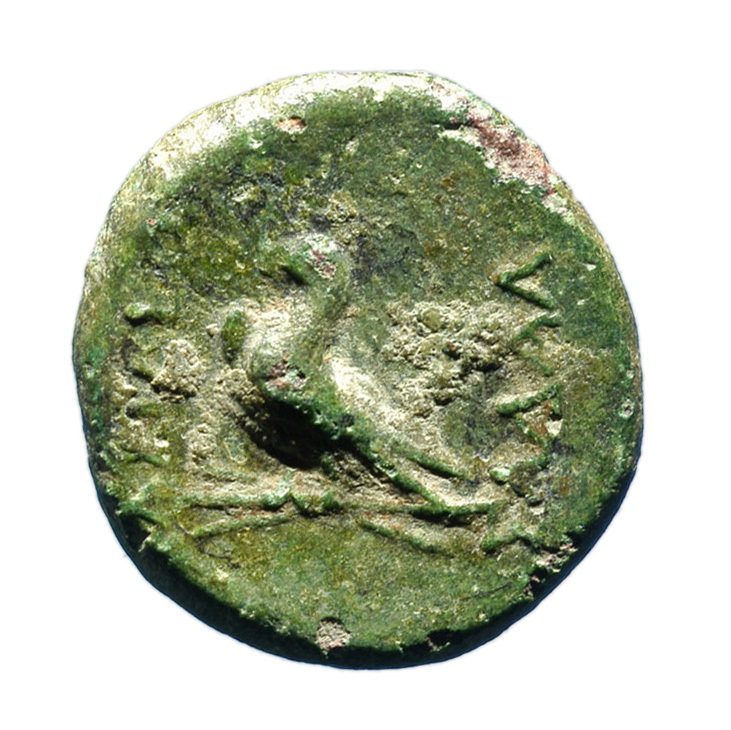 CN Type cn.sadales_sapaean_thrace.1_ed.1, реверс, cn-coins