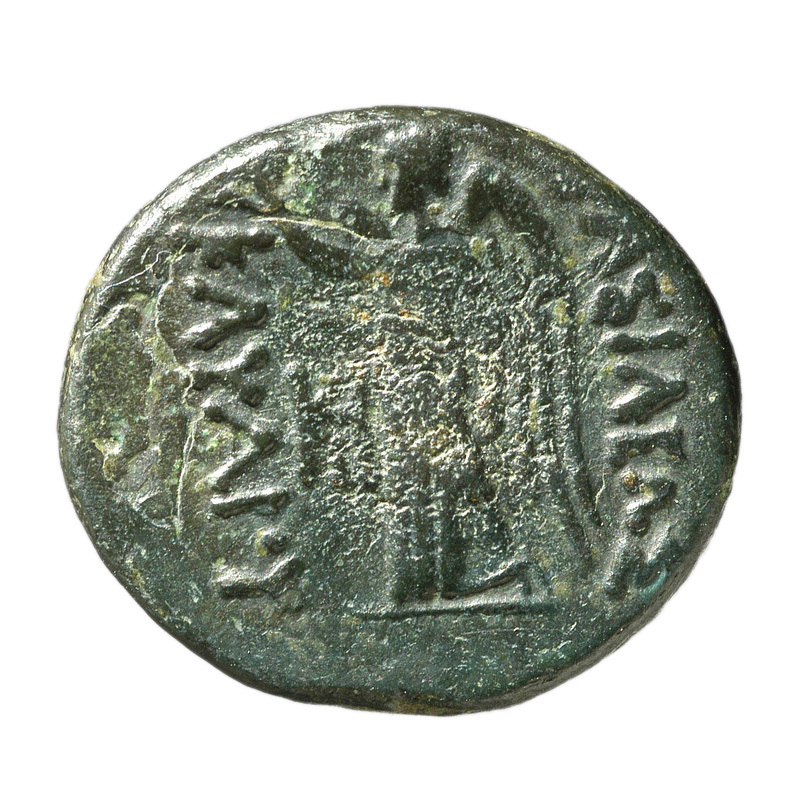 CN Type cn.cavarus_tylis_thrace.1_ed.2, реверс, cn-coins