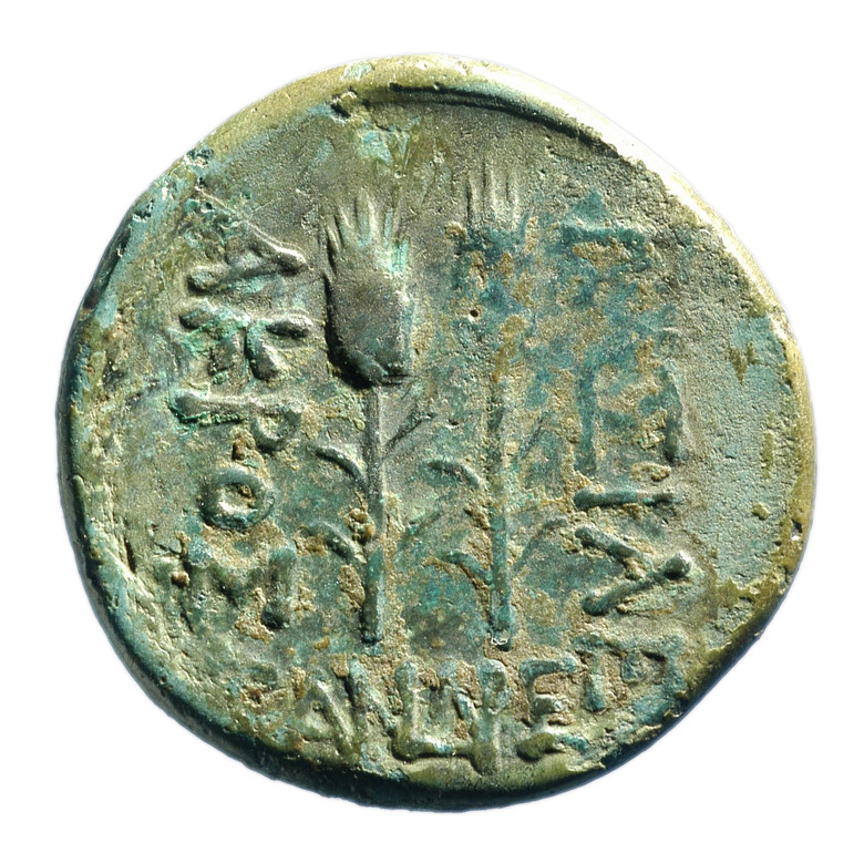 реверс CN Type 12903