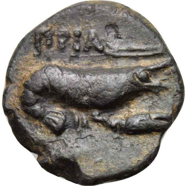CN Type 19716, реверс, cn-coins