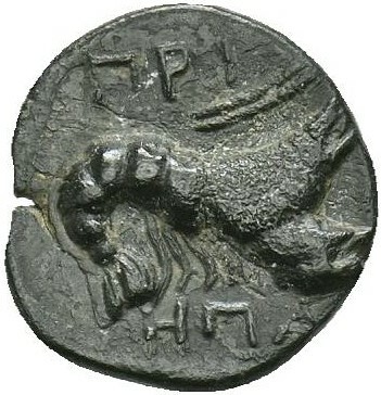 CN Type 19718, реверс, cn-coins