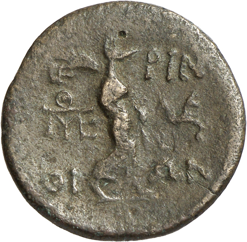 реверс CN Type cn.perinthus.1_ed.25