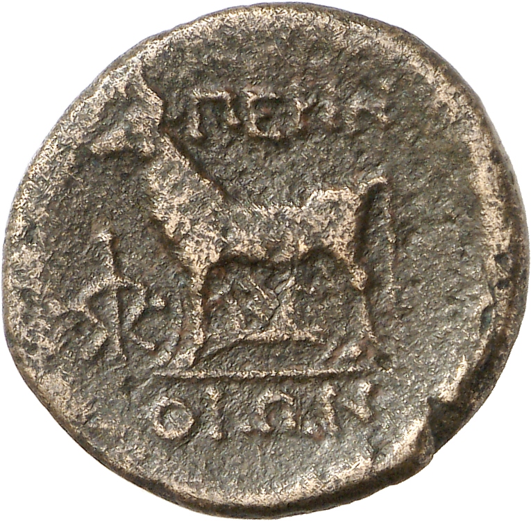 реверс CN Type cn.perinthus.1_ed.32