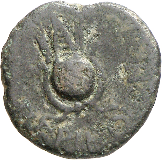 реверс CN Type cn.perinthus.1_ed.50