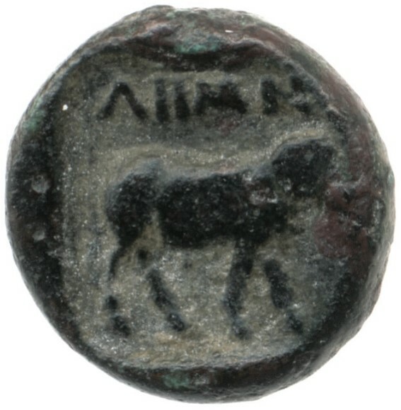 реверс CN Type cn.lemnos.1_ed.1