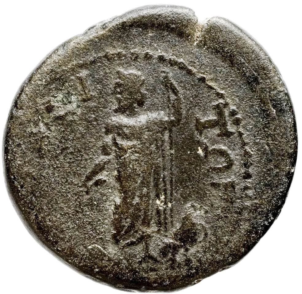 CN Type 17895, реверс, cn-coins