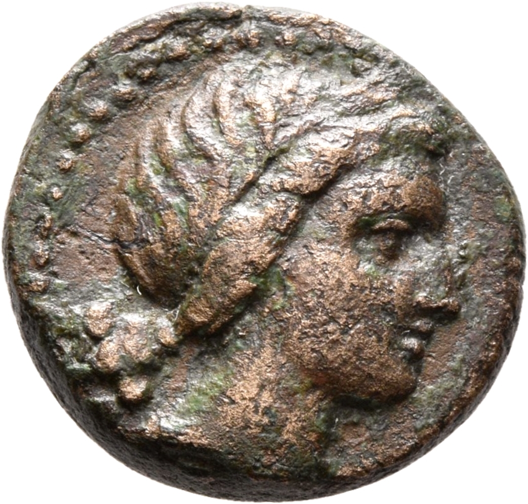 CN Type 19946, аверс, cn-coins