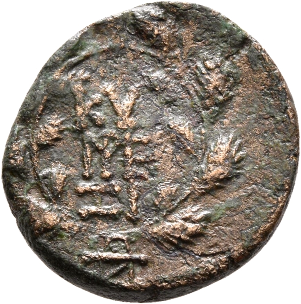 CN Type 19946, реверс, cn-coins