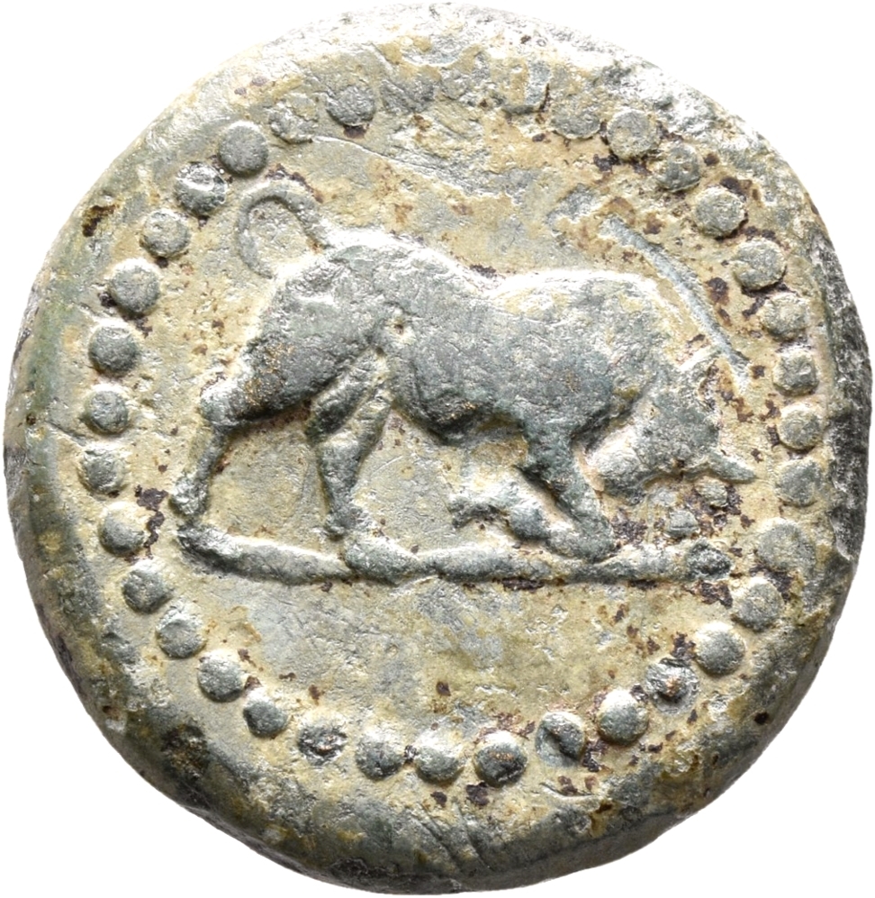 CN Type 19959, аверс, cn-coins