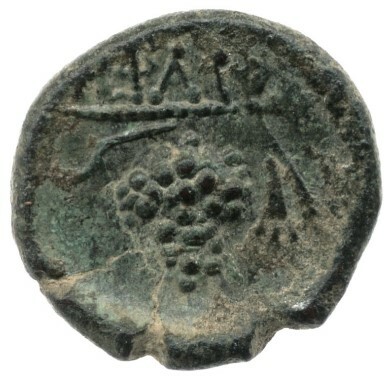 реверс CN Type cn.hephaestia.1_ed.32