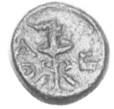 реверс CN Type cn.hephaestia.1_ed.40