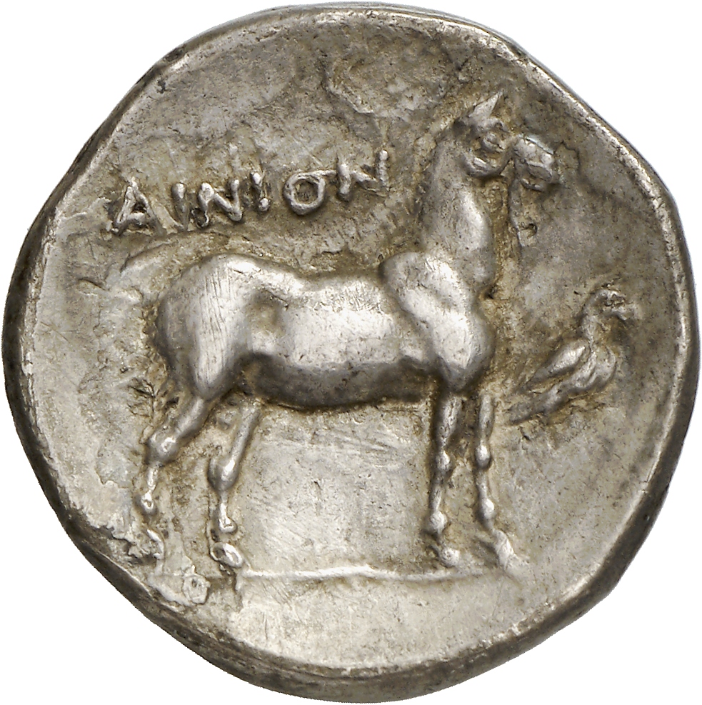 реверс CN Type cn.aenus.1_ed.122