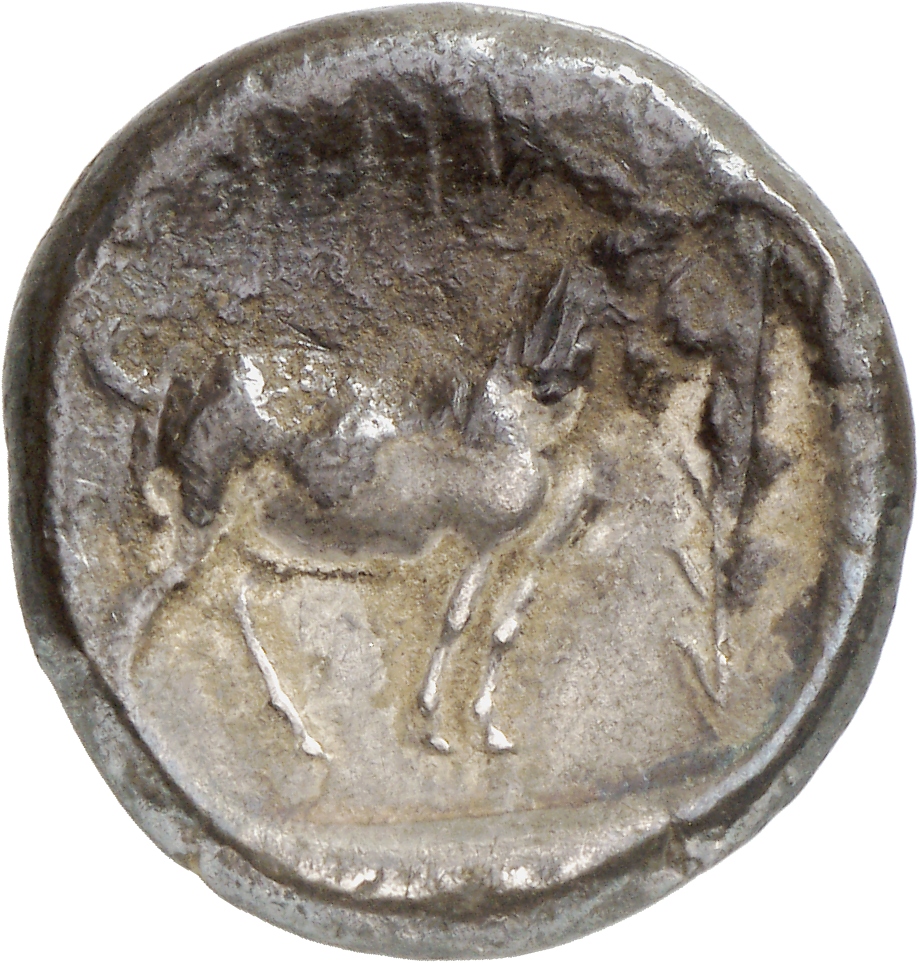 реверс CN Type cn.aenus.1_ed.72