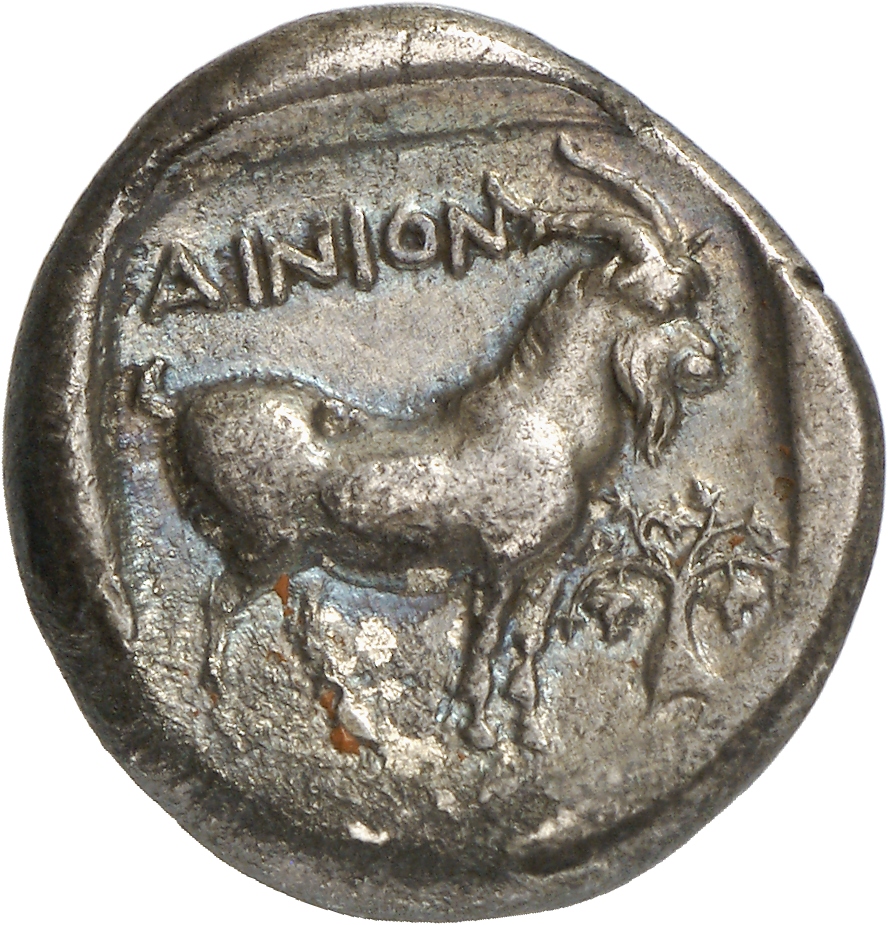 реверс CN Type cn.aenus.1_ed.81