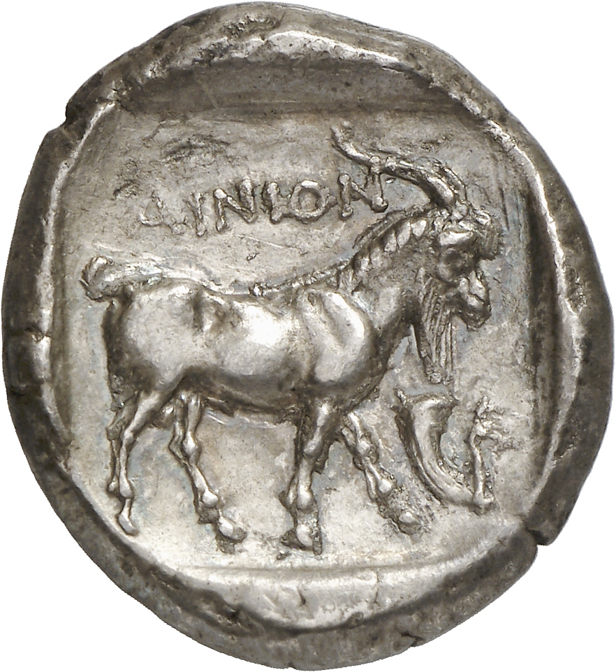 реверс CN Type cn.aenus.1_ed.84