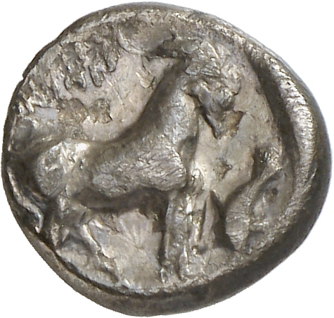 реверс CN Type cn.aenus.1_ed.89