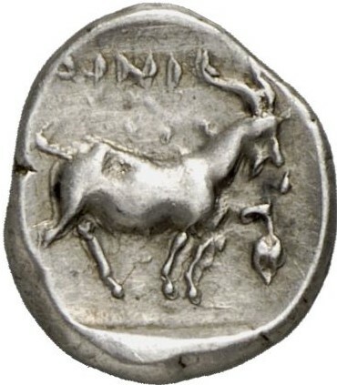 реверс CN Type cn.aenus.1_ed.75