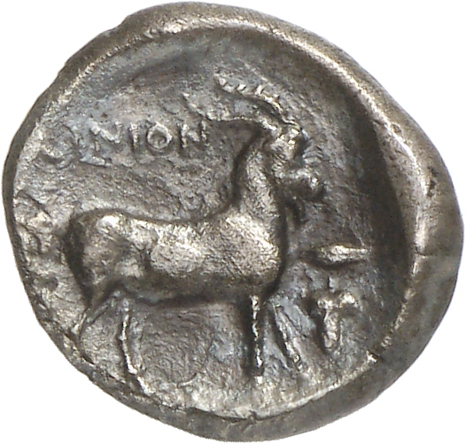 реверс CN Type cn.aenus.1_ed.95