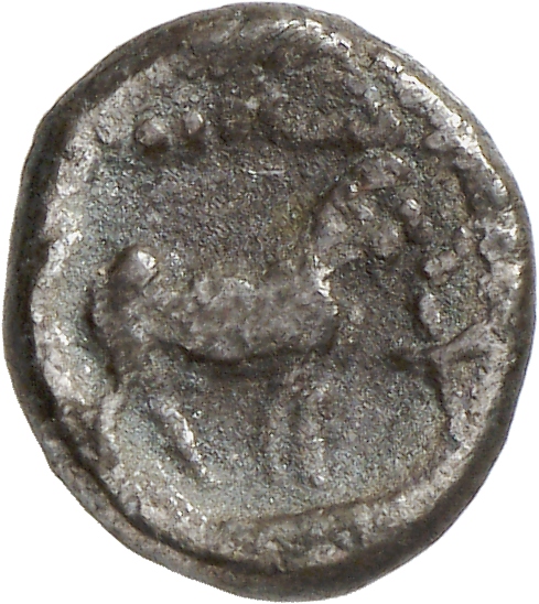 CN Type cn.aenus.1_ed.77, реверс, cn-coins