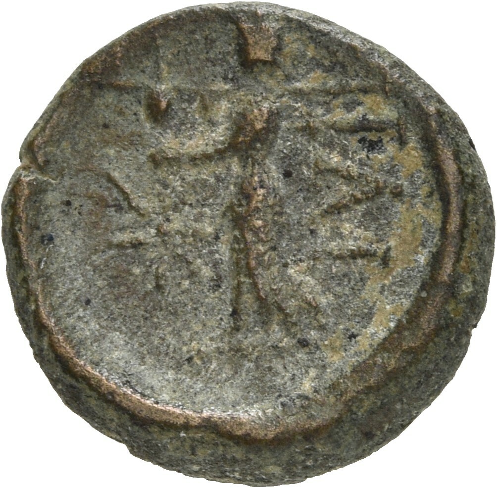 CN Type 20481, реверс, cn-coins