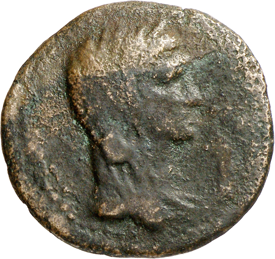 CN Type cn.perinthus.1_ed.56, аверс, cn-coins