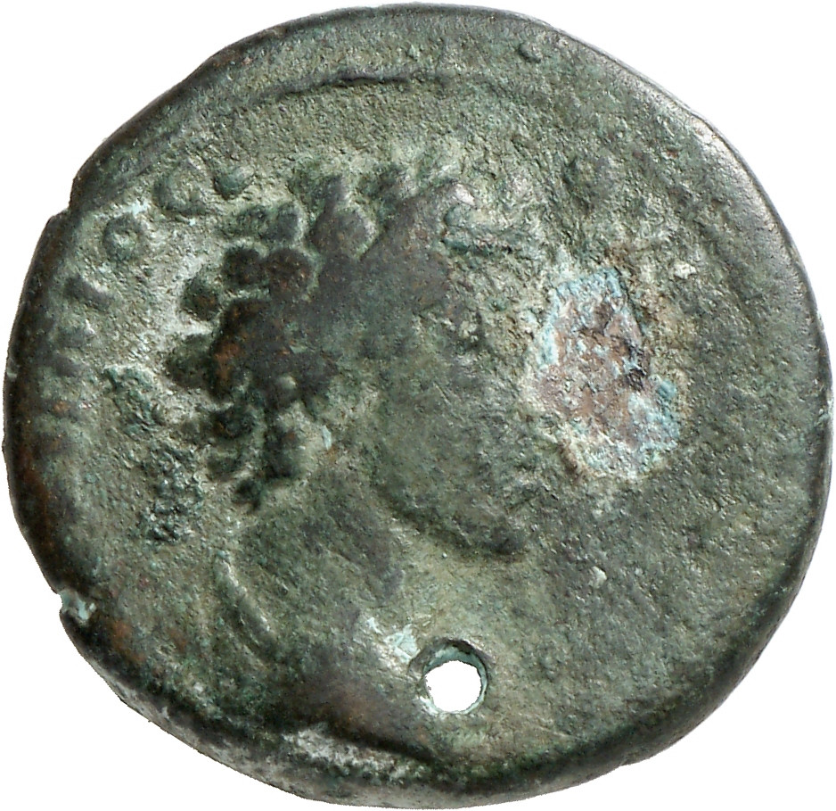 CN Type cn.perinthus.1_ed.185, аверс, cn-coins