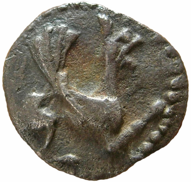 CN Type 12243, аверс, cn-coins