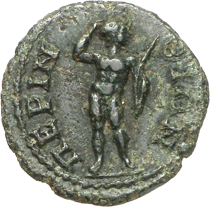 реверс CN Type cn.perinthus.1_ed.254