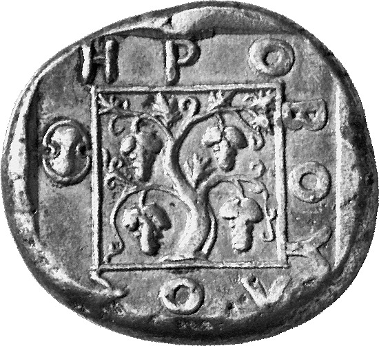 реверс CN Type cn.maroneia.1_ed.85
