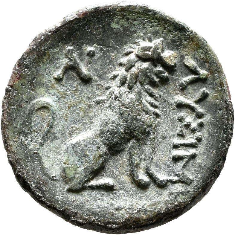 реверс CN Type 12569