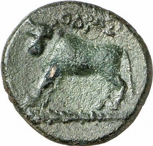 CN Type cn.odrysae.1_ed.1, реверс, cn-coins