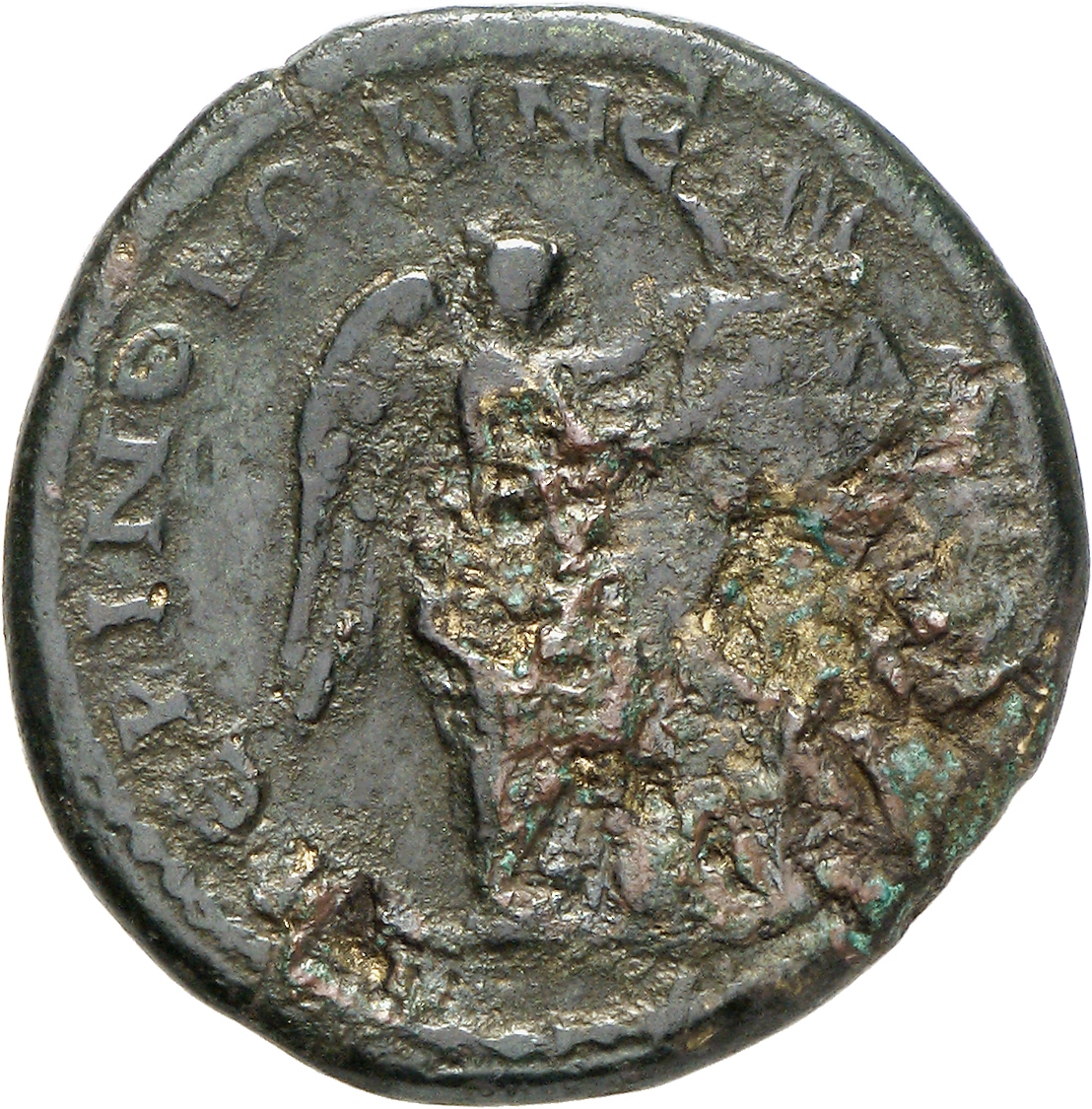 реверс CN Type cn.perinthus.1_ed.341
