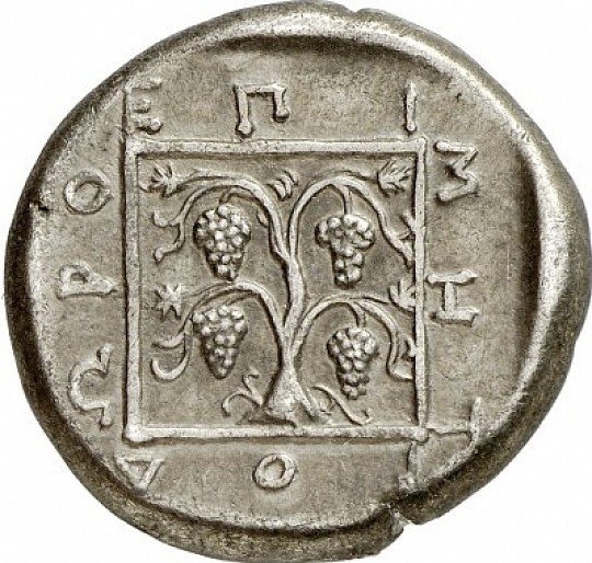 реверс CN Type cn.maroneia.1_ed.151