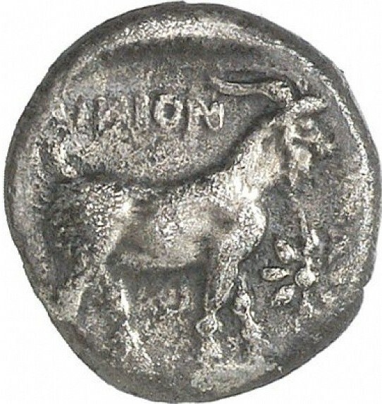 реверс CN Type cn.aenus.1_ed.102
