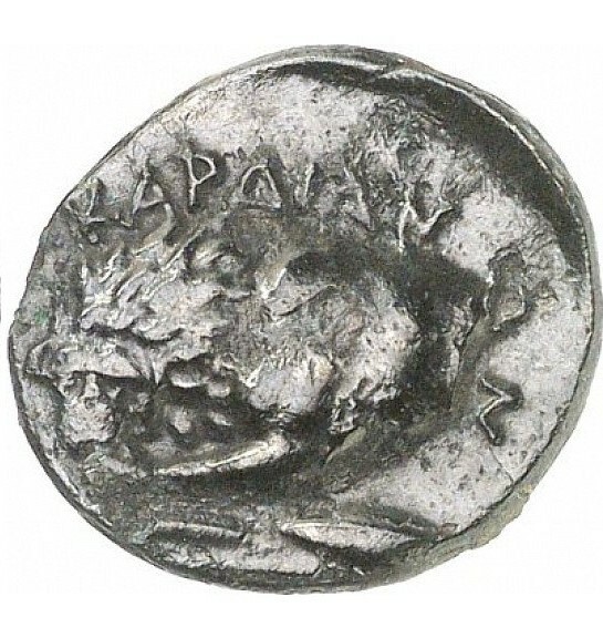 реверс CN Type cn.cardia.2_ed.23