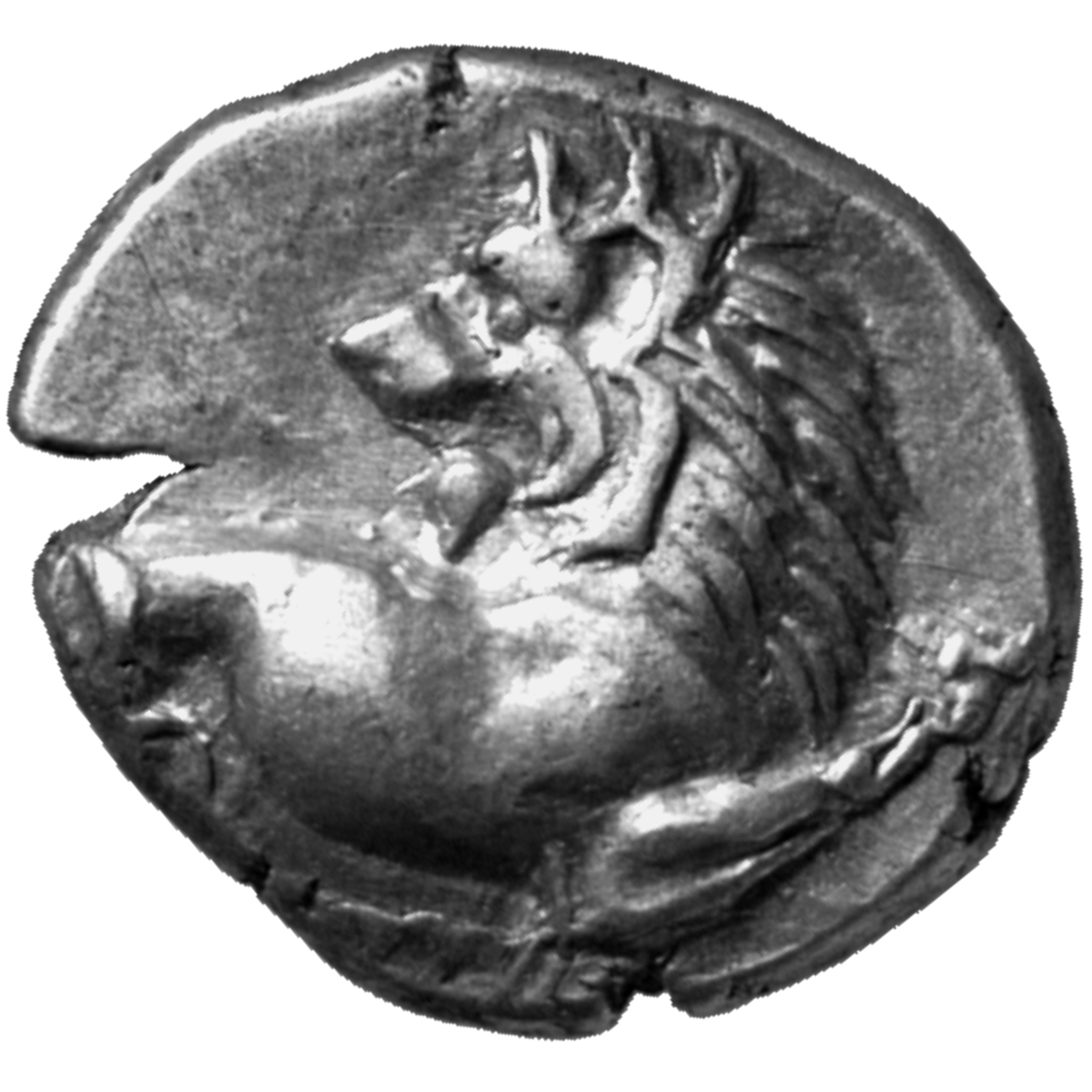 CN Type cn.chersonesus_thrace.1_ed.96, аверс, cn-coins