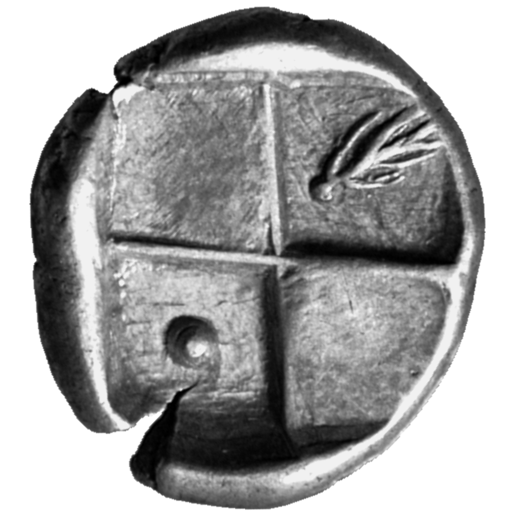 CN Type cn.chersonesus_thrace.1_ed.96, реверс, cn-coins