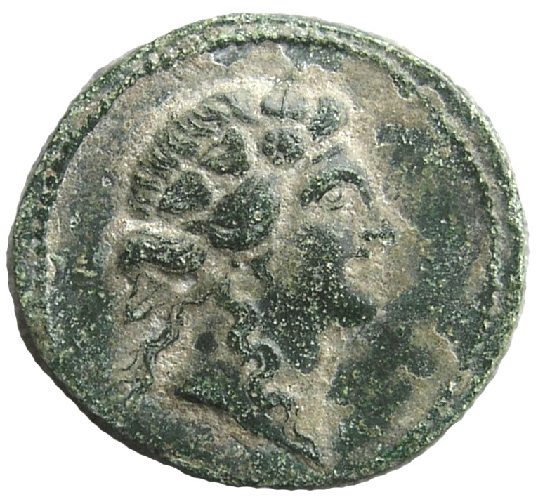 CN Type cn.plotinopolis.1_ed.2, аверс, cn-coins
