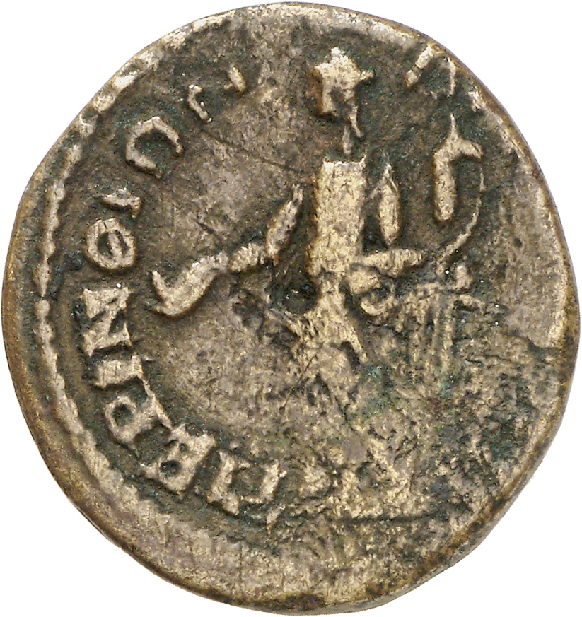 реверс CN Type cn.perinthus.1_ed.555