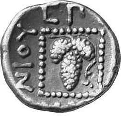 реверс CN Type cn.maroneia.1_ed.179