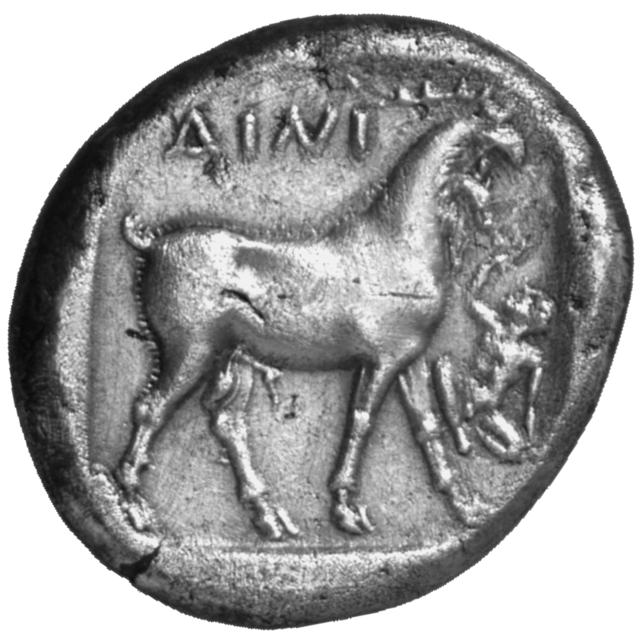 реверс CN Type cn.aenus.1_ed.48