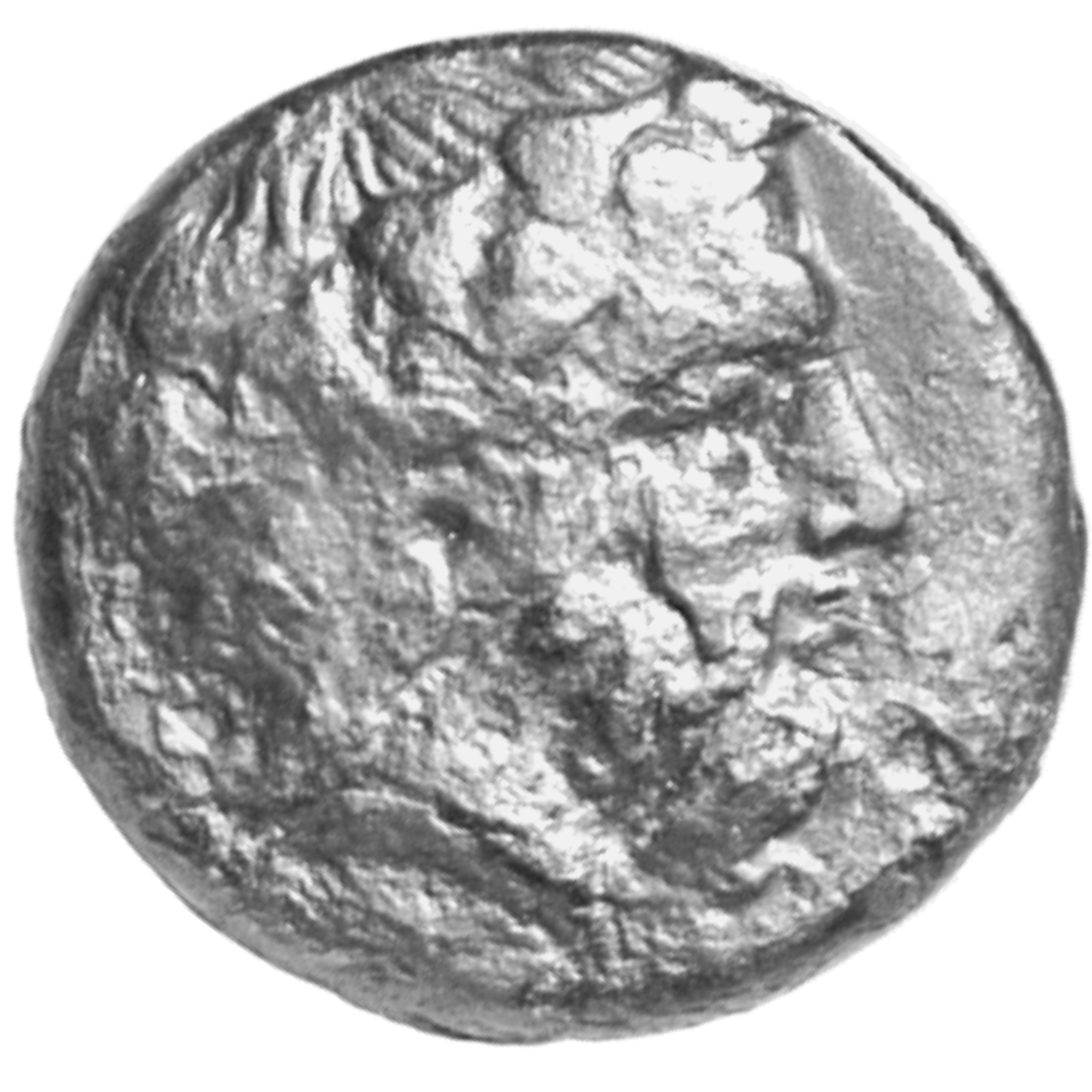 CN Type cn.cetriporis.1_ed.2, аверс, cn-coins