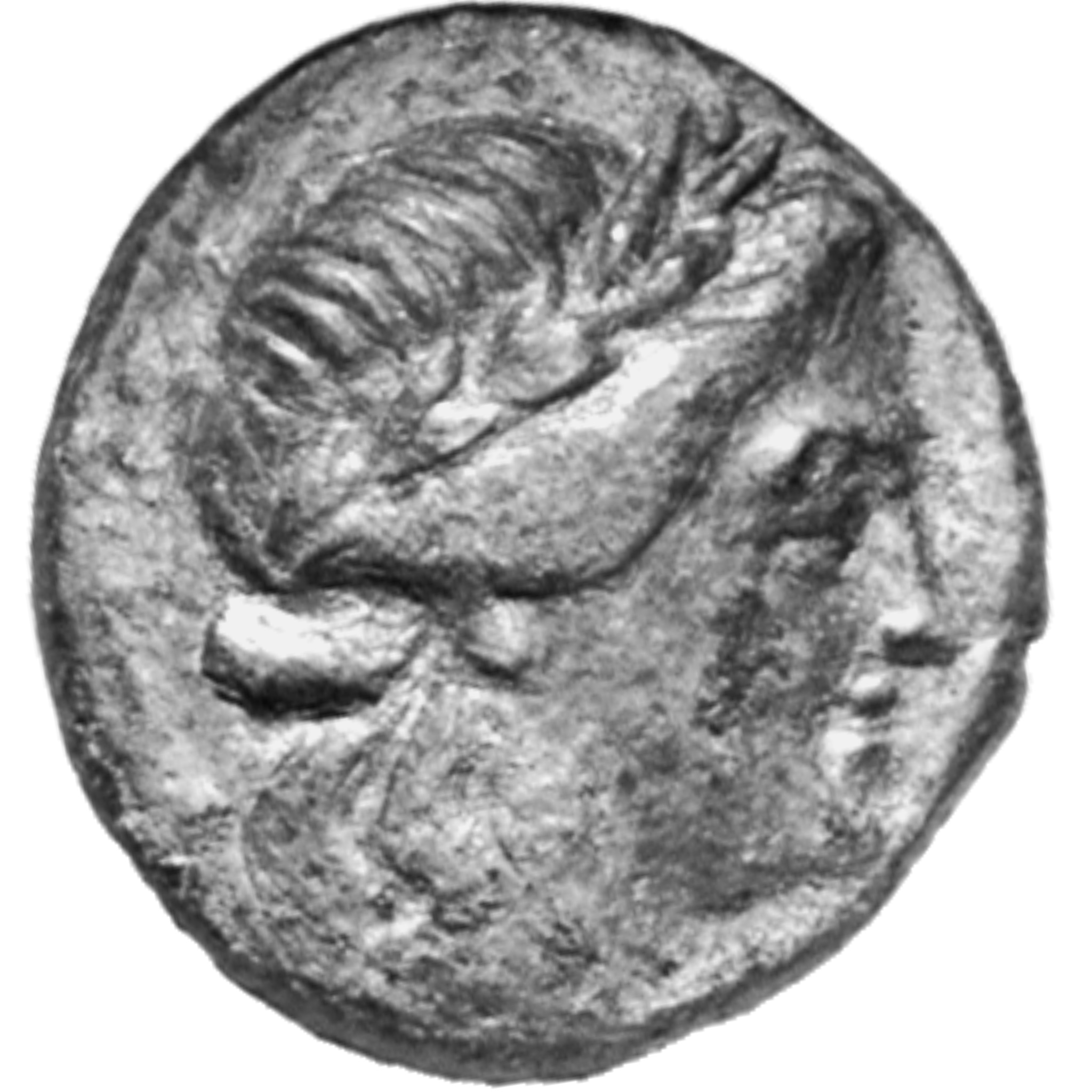 CN Type cn.cavarus_tylis_thrace.1_ed.2, аверс, cn-coins