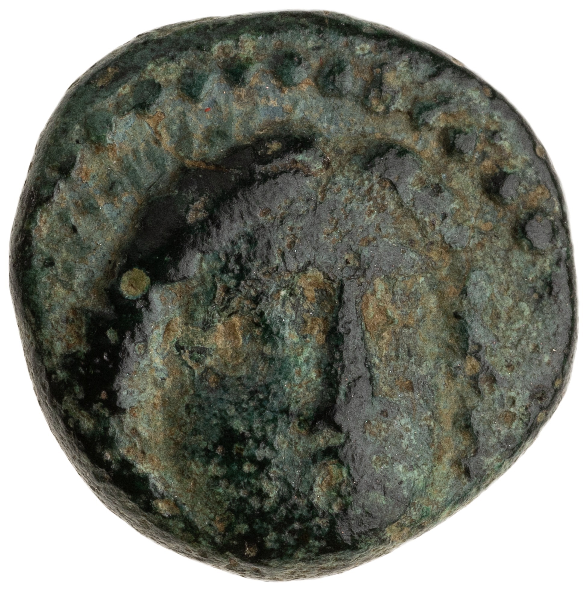аверс CN Type cn.chersonesus_thrace.1_ed.116