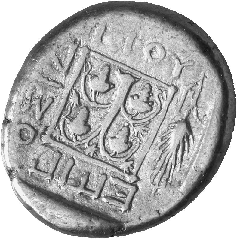 реверс CN Type cn.maroneia.1_ed.162
