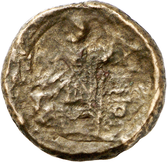 реверс CN Type cn.aenus.1_ed.114