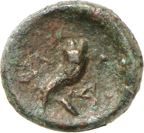 реверс CN Type cn.aenus.1_ed.116