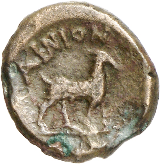 реверс CN Type cn.aenus.1_ed.117