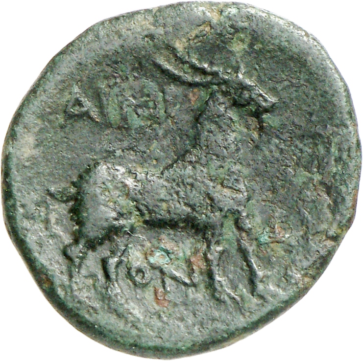 CN Type cn.aenus.1_ed.138, реверс, cn-coins